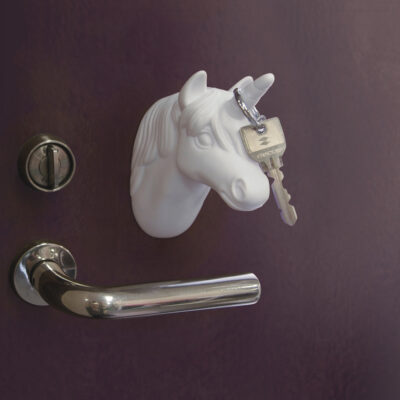 unicorn door light